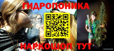 тгк Краснодар