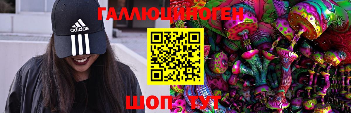 Партизанск  Псилоцибиновые грибы мицелий  Вход с VPN  Псилоцибиновые грибы прущие грибы 