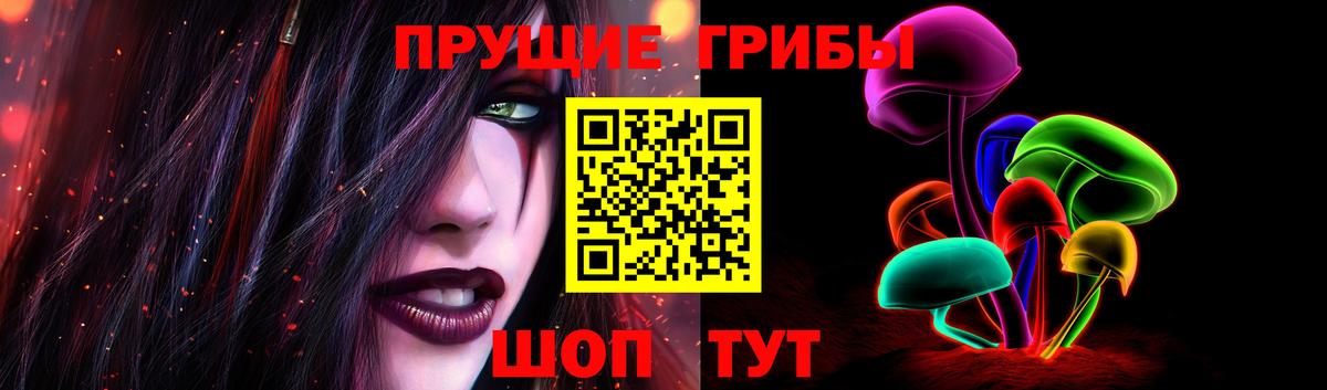 Псилоцибиновые грибы прущие грибы Партизанск